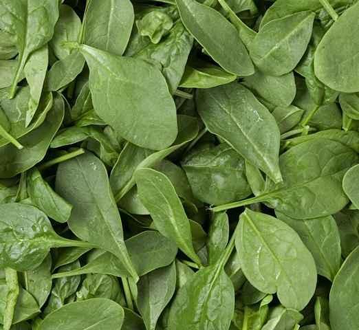 CROSS VALLEY FARMS Spinach BABY FLAT LEAF PILLOW PACK FRESH REF # 4425690 4 LB. Product Description Manufacturer: CROSS VALLEY FARMS, Product # 045803 Additional Description FLAT LEAF VARIETY.