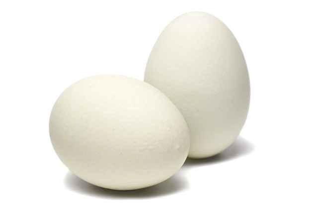 PACKER Egg SHELL MEDIUM GRADE AA FRESH REF # 4037412 15 DZ Product Description Additional Description EGG, WHL IN SHL