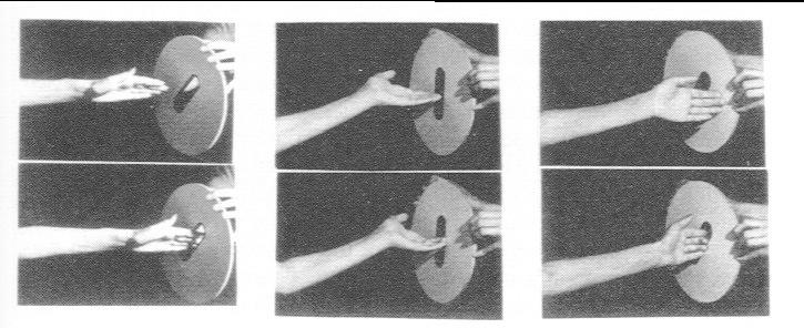 Doubled Dissociation Optic ataxia: With damage to the parietal pathway, patients are unable to put hand through slot in correct