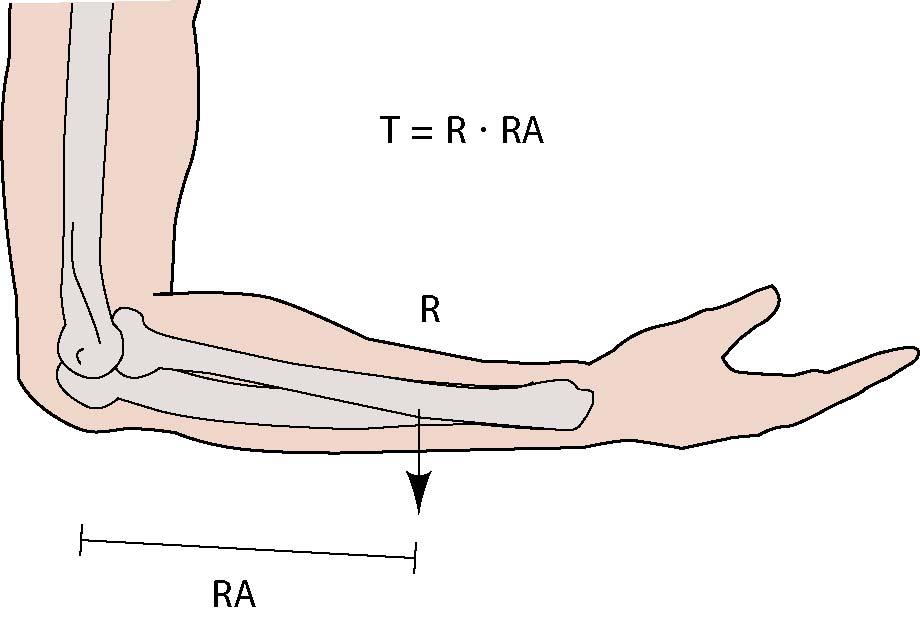 (R) and Resistance Arm (RA) 11