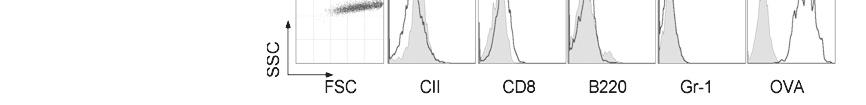 Lin - M C % amongst cells D Lin - M Figure 3. Production of L-DC in cocultures established with HSCs.