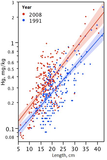 Mercury report Focus on mercury in the aquatic environment Hg in fish (perch) increases with weight and length More Hg in fish from 2008 (red dots) than from 1991 (blue