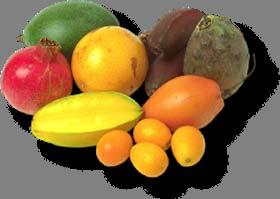 Fruits and Vegetables Fresh/frozen vegetables & fruit Canned/jarred vegetables