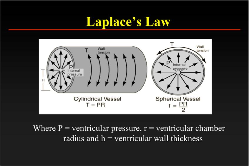 Laplace s Law Where P = ventricular