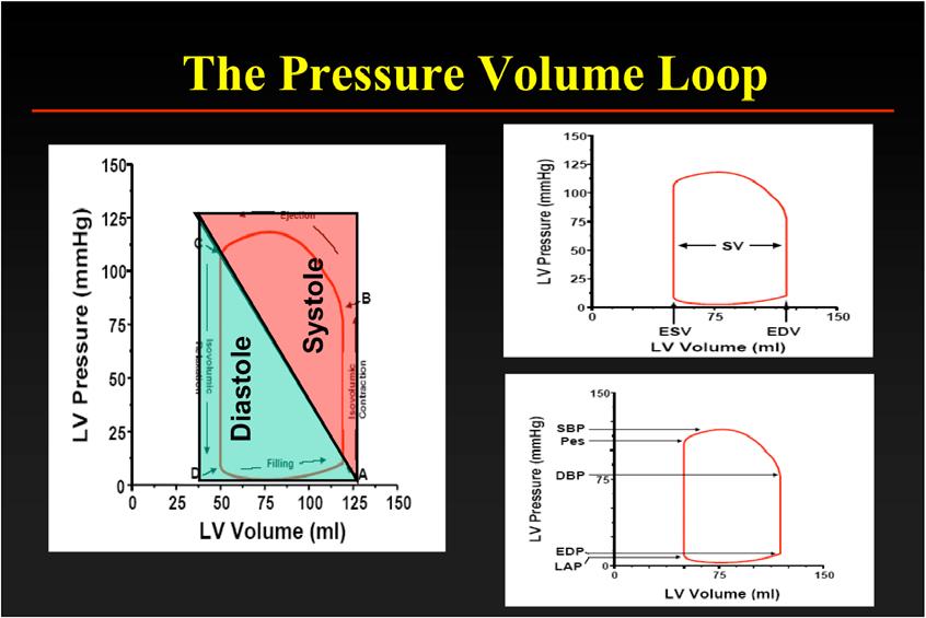 The Pressure Volume Loop Diastole Systole The Pressure