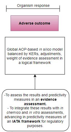 9 AOP-based in silico model Develop and Validate individual models 1 OECD Principles Structural Alert DPRA KeratinoSens H-CLAT LLNA Human and Combined dataset 2 key event relationships (KERs)