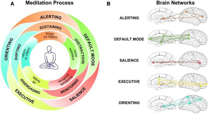 Neural mechanisms of mindfulness meditation Effortful attention regulation during meditation. Panel (A) provides a schematic representation of the meditation process.