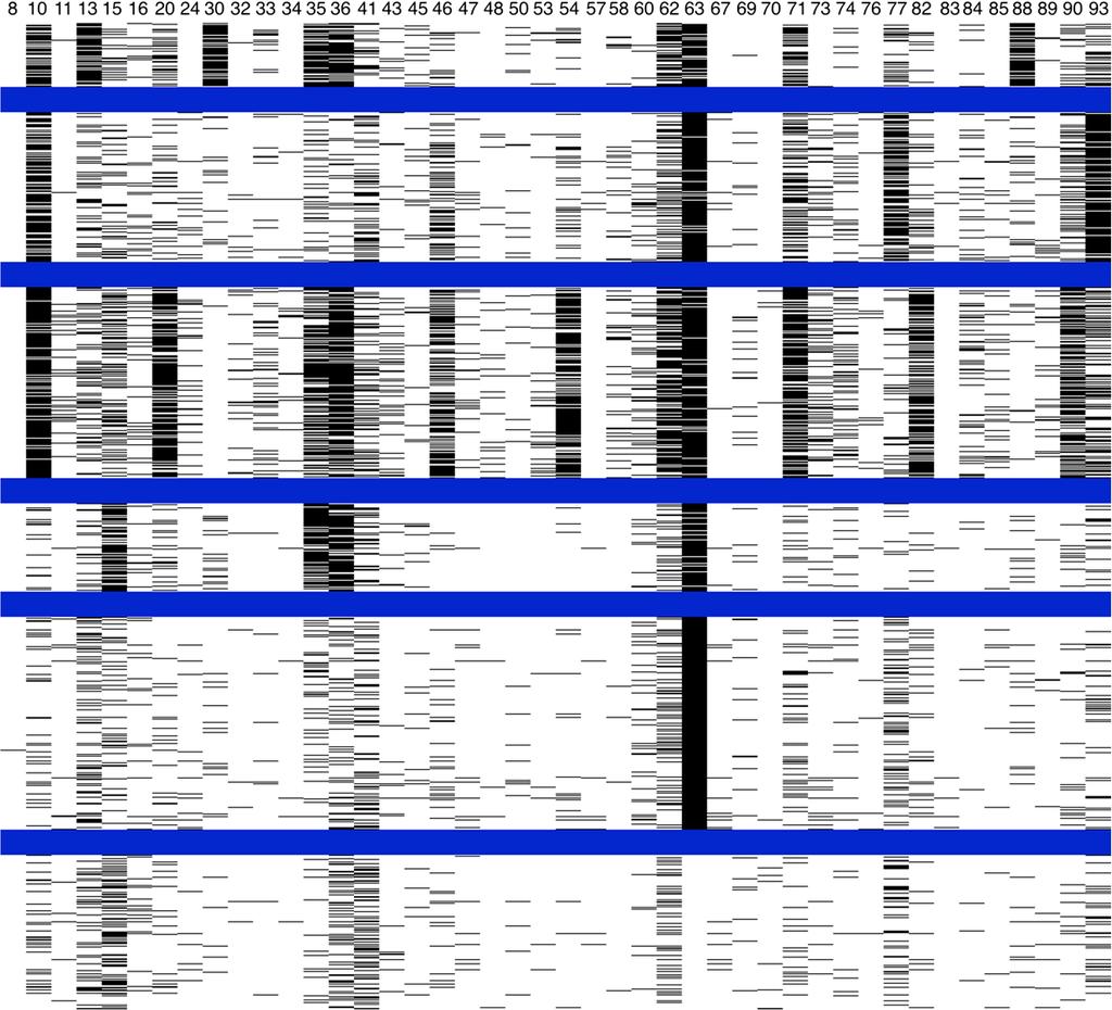 The columns in the figure represent the amino acid positions selected for clustering and the rows represent the protein sequences.
