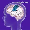 Benign Rolandic Epilepsy centro-temporal Onset 3-10 years Focal seizures-tingling to the tongue and cheek, speech slurred, will still be responsive can progress to GTCS Benign,