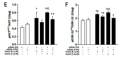 UnAG ntioxidnt nd insulin-sensitizing effects re medited