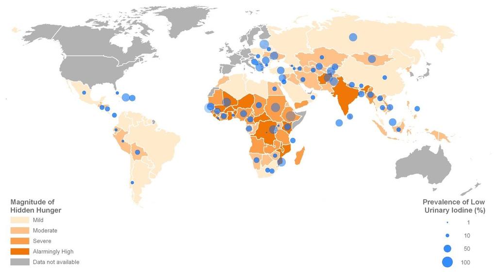 I. Magnitude of problem: global hidden hunger (micronutrient deficiency) Map looks at iron, folate, iodine, vitamin A and zinc deficiencies.