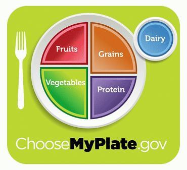 How does Beef fit on My Plate? Beef is a Protein You should eat about 3-6oz. of protein each day There are lots of ways to eat beef! When you eat your plate should look like this.