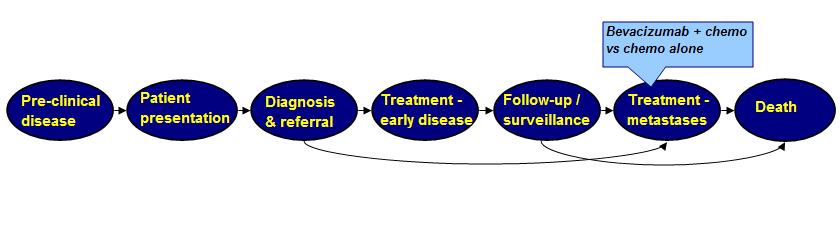 An alternative approach Whole Disease Modelling Usefulness of models is in part determined by the
