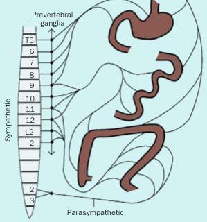 1. Postoperative gastrointestinal paralysis Paralysis of the gastrointestinal tract has been a major problem in traditional surgical care, limiting the tolerance to oral or enteral nutrition (1).