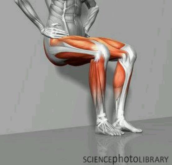 Physical: Wall Sit The wall sit builds strength in the lower body by isometric contraction. How to Perform the Wall Sit 1.