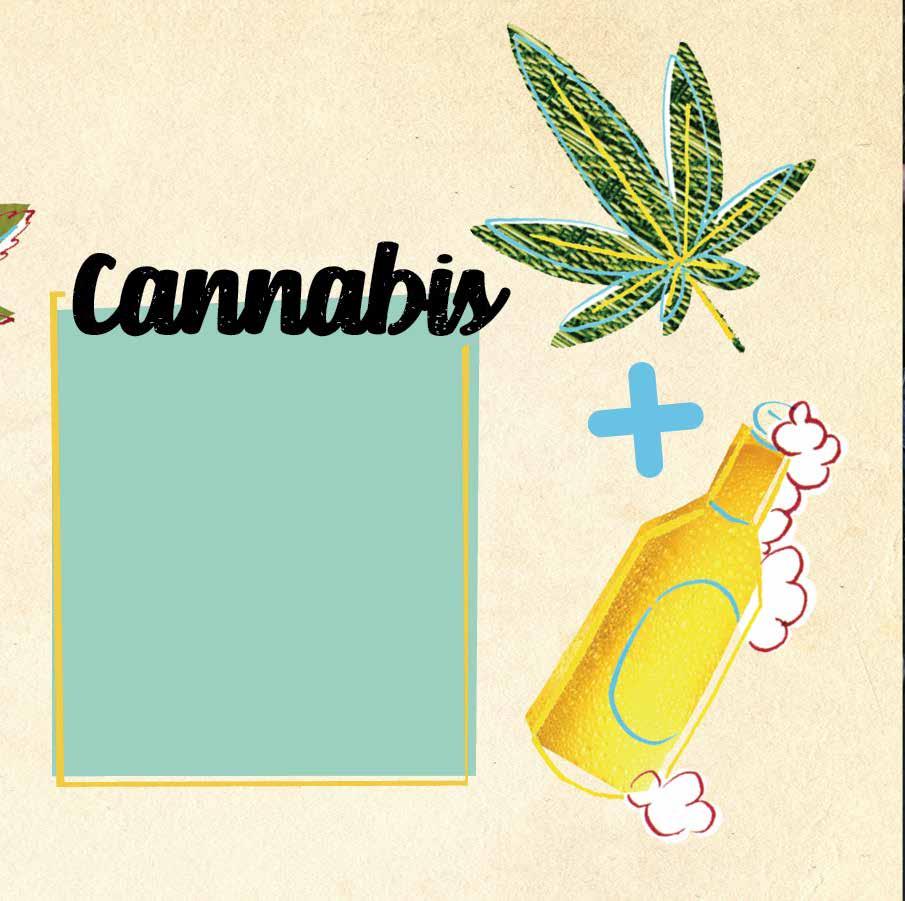 FIRST The opposite occurs when cannabis is consumed before alcohol. When cannabis is taken first, less alcohol is absorbed by the blood vessels than would be absorbed if no cannabis had been consumed.