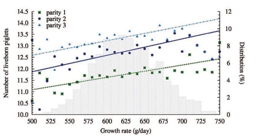 The Facts Effect of Gilt Growth Rate vs Reproductive Performance 598g/d 698 g/d 748
