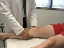 rotation torques Prevent pivot shift of the knee