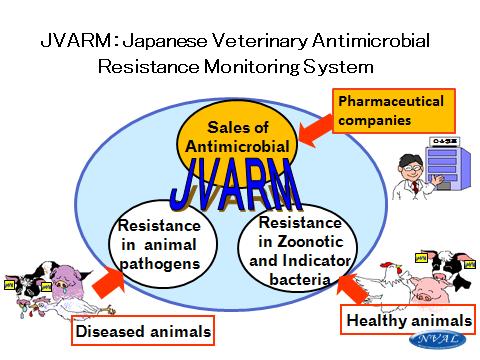 I. The Japanese Veterinary Antimicrobial Resistance Monitoring System (JVARM) 1.