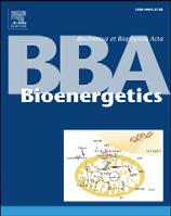 Biochimica et Biophysica Acta 1807 (2011) 664 678 Contents lists available at ScienceDirect Biochimica et Biophysica Acta journal homepage: www.elsevier.
