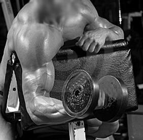 Lower the dumbbell until your arm is fully extended. Raise the dumbbell until forearm is vertical. Repeat.