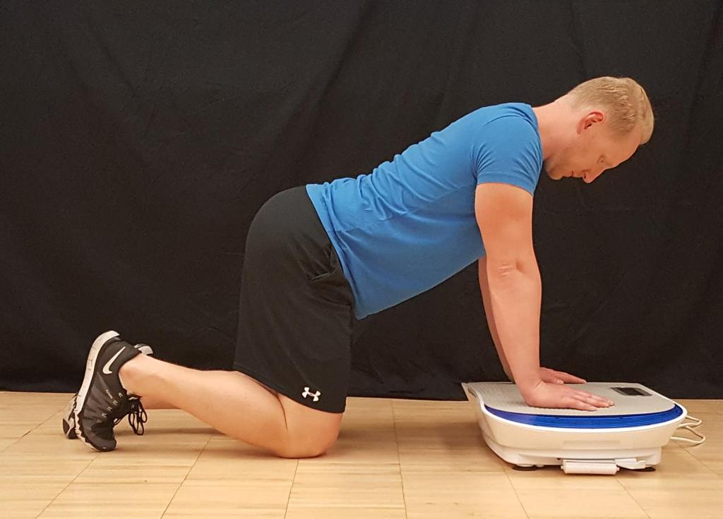 Kneeling Upper Body Burner - Entire arm and chest - Upper back complex - Lat muscles - Internal / External