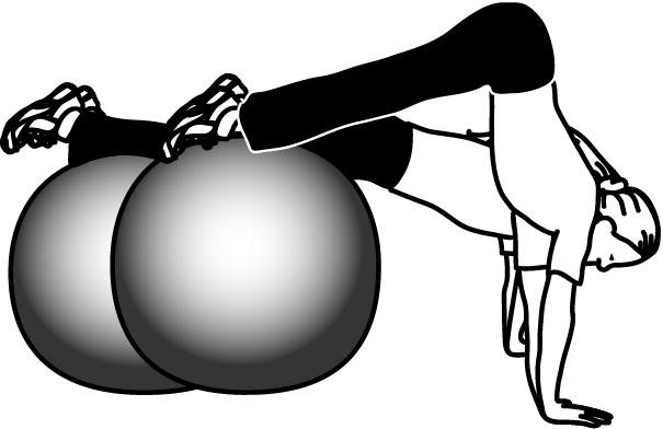 Pb Pike Assume a push up position with your shins on a physioball and your hands flat on the floor. Your hips should be in line with your shoulders and your ankles.