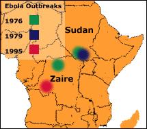 Ebola Virus Introduction First appeared in Africa 1976 African Hemorrhagic Fever acute, mostly fatal disease causes blood