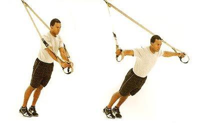Chest Fly TRX