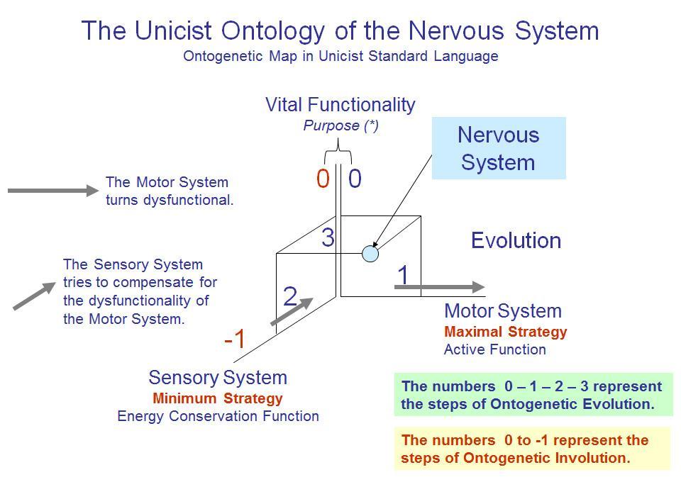 The Unicist Paradigm Shift in Sciences If we observe the functionality of the human nervous system and assess it in a conceptual way, we will notice that if the motor system performs dysfunctional