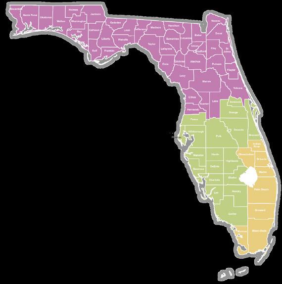 Last June, the Florida Agency for Health Care Administration (AHCA) published its Notice of Intent to award a Florida Medicaid Statewide Dental Plan Contract to LIBERTY Dental Plan of Florida, Inc.