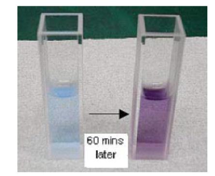 4 / 7 Figure 1. Time course measurement (left) of the chromogenic reaction and the absorption spectrum (right) of HSA reacted with the Biuret reagent. The absorption maximum is 540 nm.