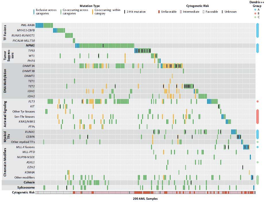 The AML Genome 2013 TCGA 200 AML patients, median age: 55 years, only de novo AML; whole genome (n = 50) and