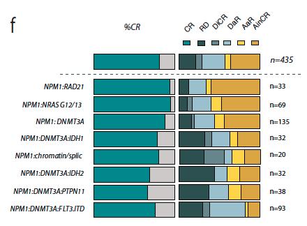 NPM1 Mutated AML RAD21, NRAS G12/G13 : High CR1 rates, low relapse rates, good long term survival IDH1, IDH2 & chromatin spliceosome: Lower CR rates / primary refractory