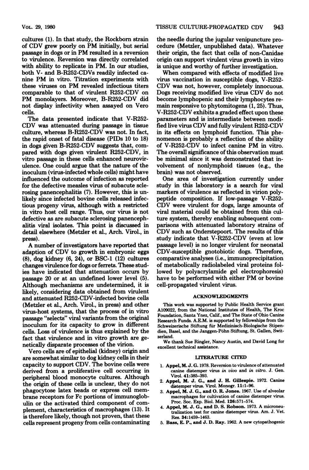 VOL. 29, 1980 cultures (1). In that study, the Rockborn strain of CDV grew poorly on PM initially, but serial passage in dogs or in PM resulted in a reversion to virulence.