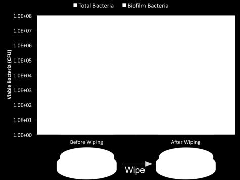 Biofilm Bacteria Wiping only Yang Q,