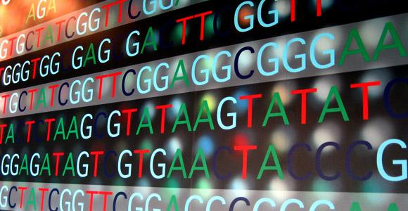 Epigenetics Study of heritable changes in