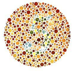 The individual with normal color vision will see a 5 revealed in the dot pattern.