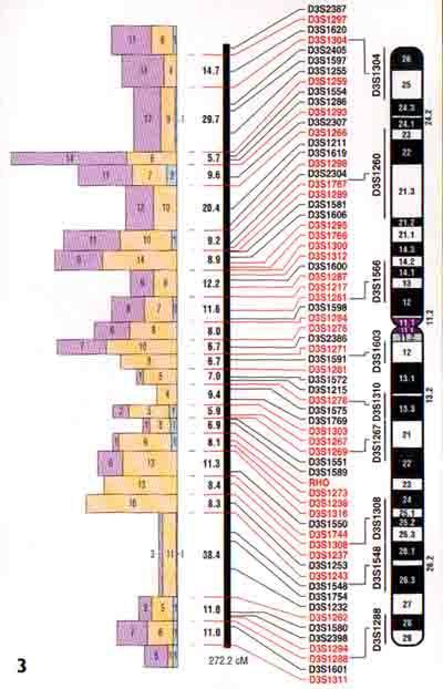E. Several methods help map human chromosomes 1.