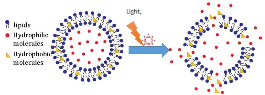 Light-triggered liposome delivery system Features: Clinically approved compounds Temporal and spatial release control Stability Robust liposomal gene carrier Efficient release