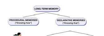 Types of Memories Improving Your Memory information Be aware of the