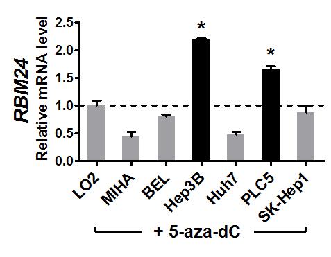 (a) A schematic diagram showing the changes of methylation levels at different gene promoter and enhancer regions after 5-aza-dC treatment in different liver cell lines.