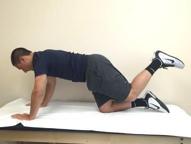 Hip Extension in Quadruped may