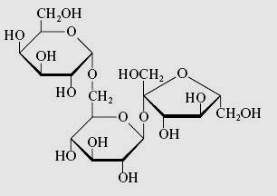 Q2. Below is the structure of a carbohydrate called raffinose. Raffinose can be found in beans, cabbage, Brussel sprouts and other vegetables.