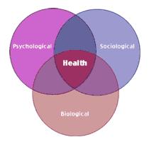 Learning Principles and the Bio-Psychosocial Model of Illness (Engel G.