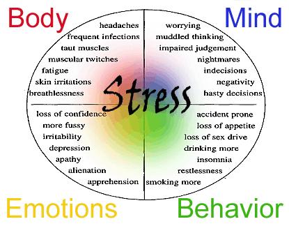 Coping with Chronic Illness: Stress and Other Environmental Factors Stress Financial concerns