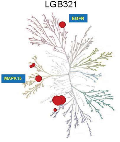 Supplementary Figure 3: KINOMESCAN TM of 1 M LGB321 Ambit Gene Symbol Entrez Gene Symbol Percent Control PIM1 PIM1 0.5 PIM3 PIM3 0.5 PIM2 PIM2 0.75 EGFR(L858R) EGFR 2.1 ERK8 MAPK15 2.