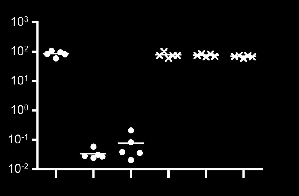 Chlamydia burden (pg Ct DNA / µg host DNA) 1 3 1 2 1 1 1 1-1 1-2 Naive Ct UV-Ct-cSAPs Naive Ct UV-Ct-cSAPs WT RAG-2 -/- Supplementary Figure 4.