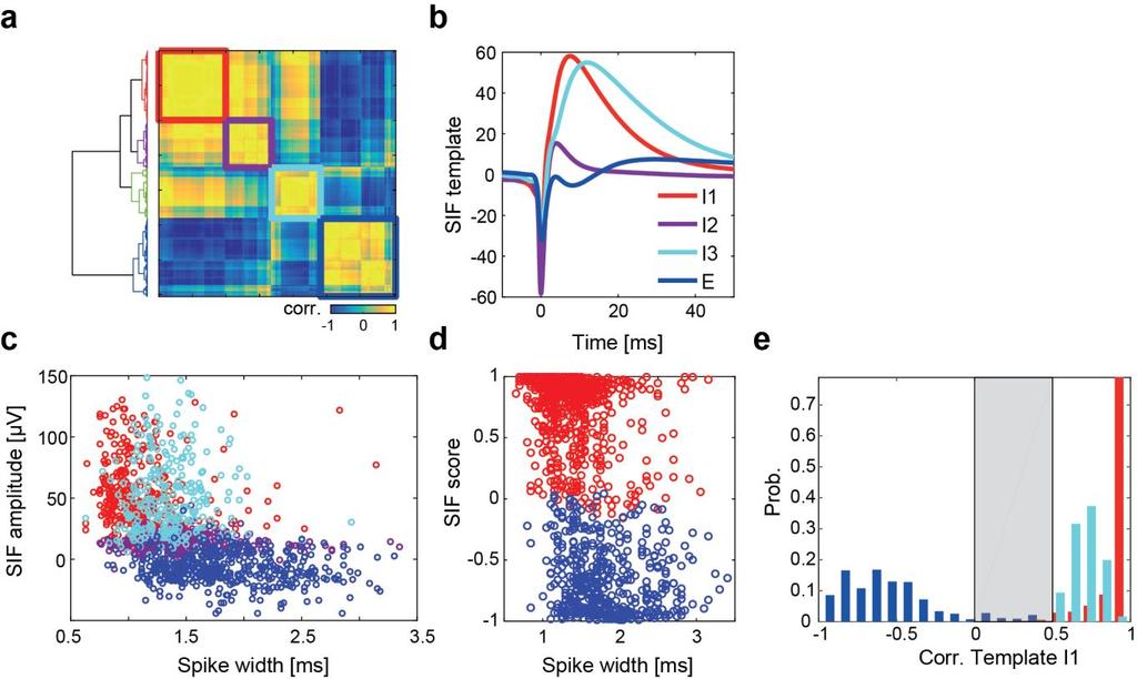 Supplementary Figure 6 Fine characterization of SIF sub-types. a. Ordered correlation matrix of SIF waveforms from 1411 separated units (see methods) obtained from seven cortex preparations.