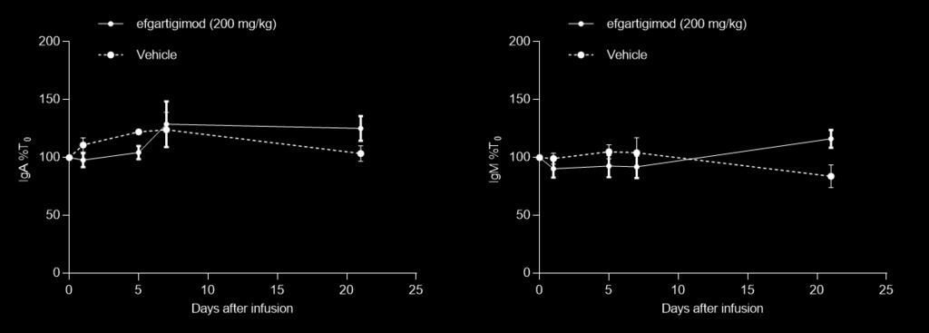 Representative data for at least 3 experiments are shown. A B Supplementary Figure 5: Efgartigimod does not alter IgA nor IgM levels in cynomolgus monkeys.